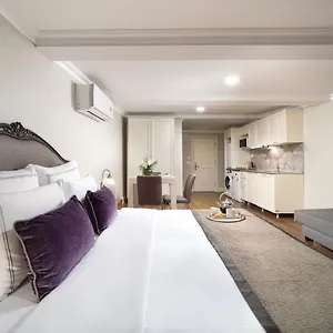 Meroddi Galata Flats Apartment Istanbul